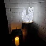 Peaceful Winter Fox 아파트 *