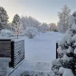 Peaceful Winter Fox *
