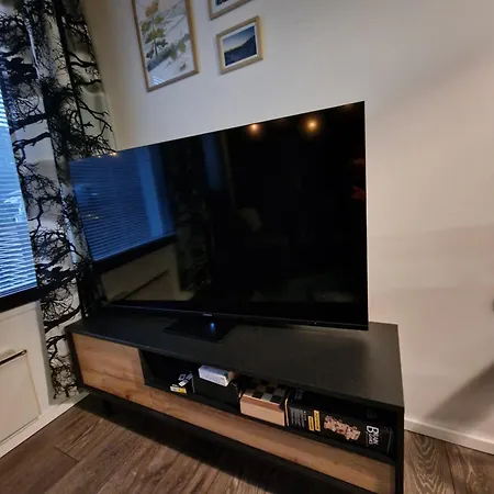 Peaceful Winter Fox 로바니에미