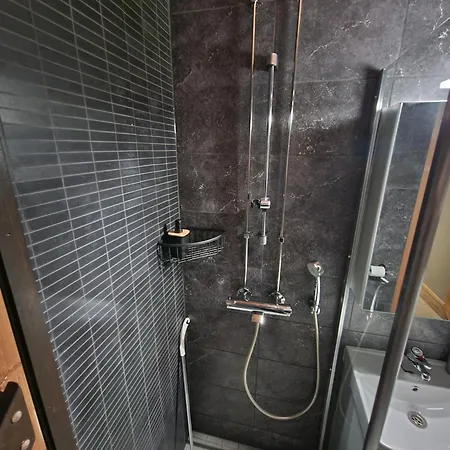 Peaceful Winter Fox 로바니에미