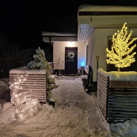 Peaceful Winter Fox *