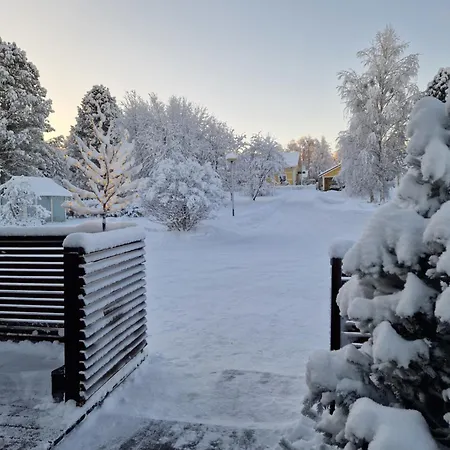 Peaceful Winter Fox *
