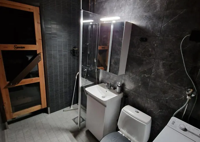 Peaceful Winter Fox 罗瓦涅米