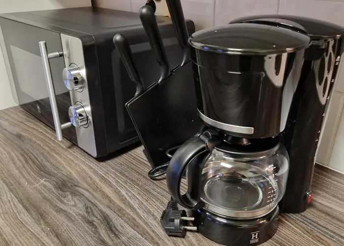 Peaceful Winter Fox * 罗瓦涅米