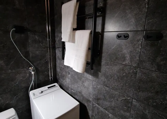 Peaceful Winter Fox 罗瓦涅米