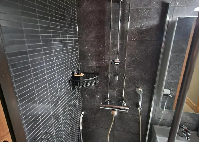 Peaceful Winter Fox Rovaniemi