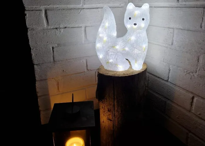 Peaceful Winter Fox 公寓 *