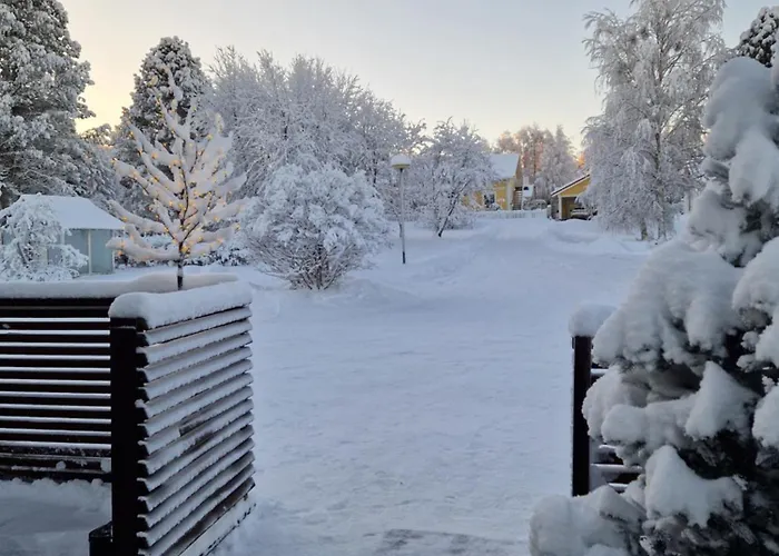 Peaceful Winter Fox *